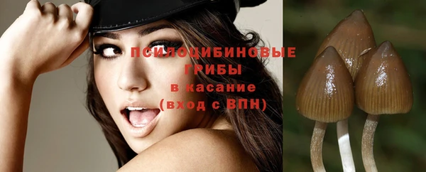 прущий лед Рославль