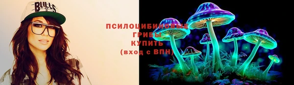 хмурый Алексеевка