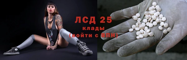 стафф Алексин