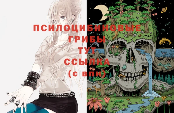 хмурый Алексеевка