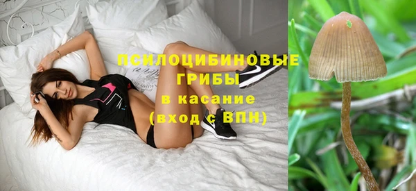скорость Алзамай