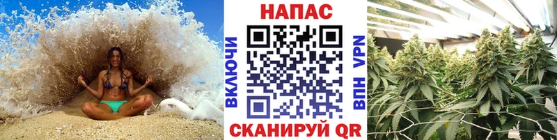 Конопля Ganja  блэк спрут как войти  маркетплейс Telegram  Приозерск 